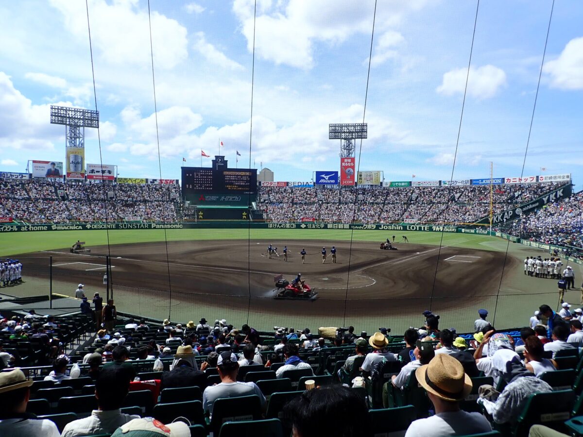 甲子園 バックネット席