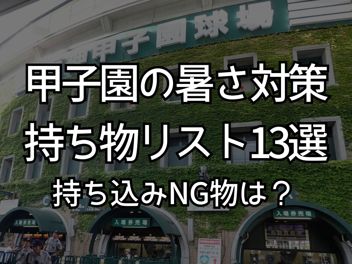 甲子園 観戦 持ち物