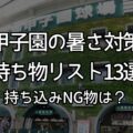 甲子園観戦の暑さ対策持ち物リスト13選&持ち込みNGな物リスト