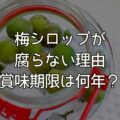 梅シロップが腐らない理由・腐るとどうなる？賞味期限は何年？
